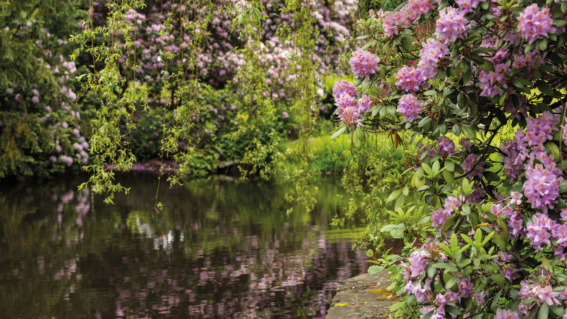 See mit Blumen